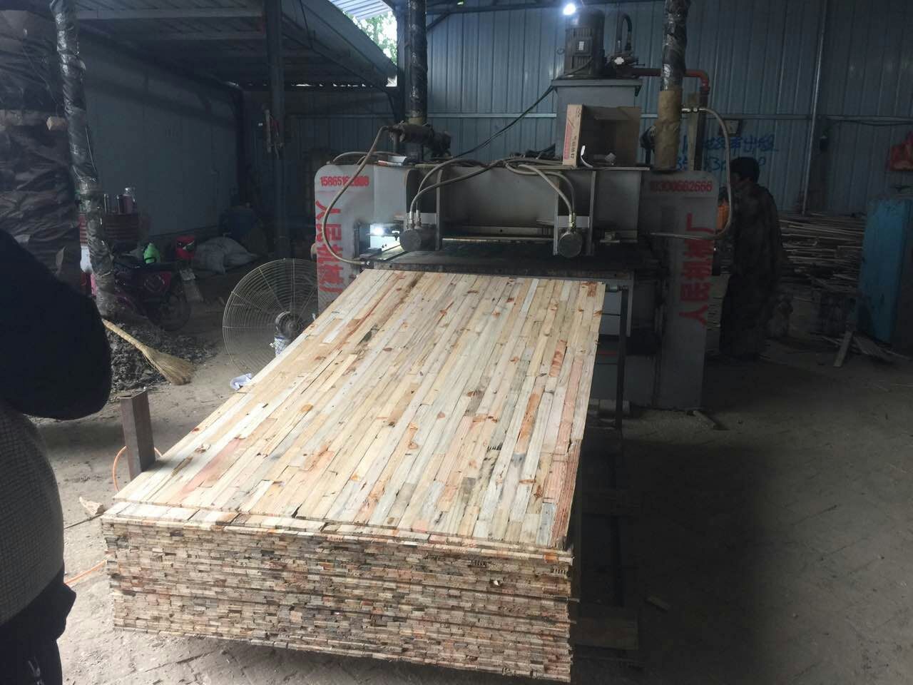 青青草操逼视频